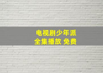 电视剧少年派全集播放 免费